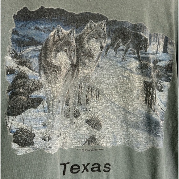 Gildan, Texas, Coyotes in Snow, Graphic Tee, Adult Size Large. Stone-blue color - Picture 2 of 5